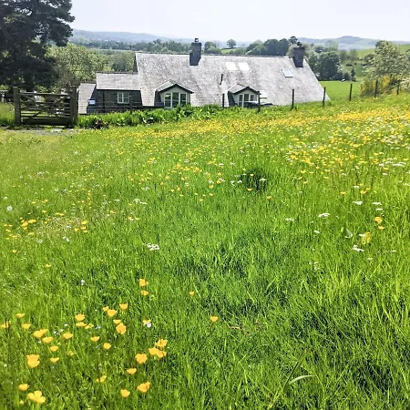 Saul Hill Ambleside